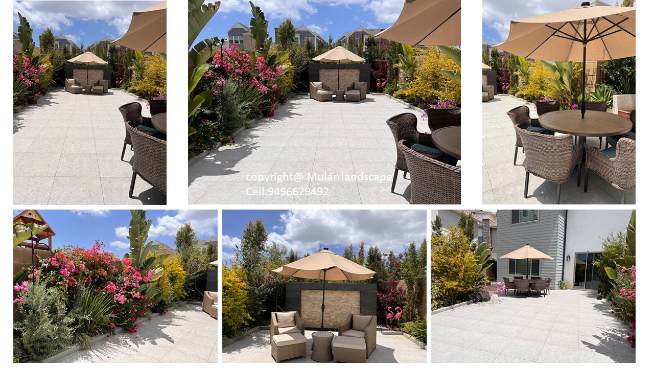 Mulan Landscape project photo