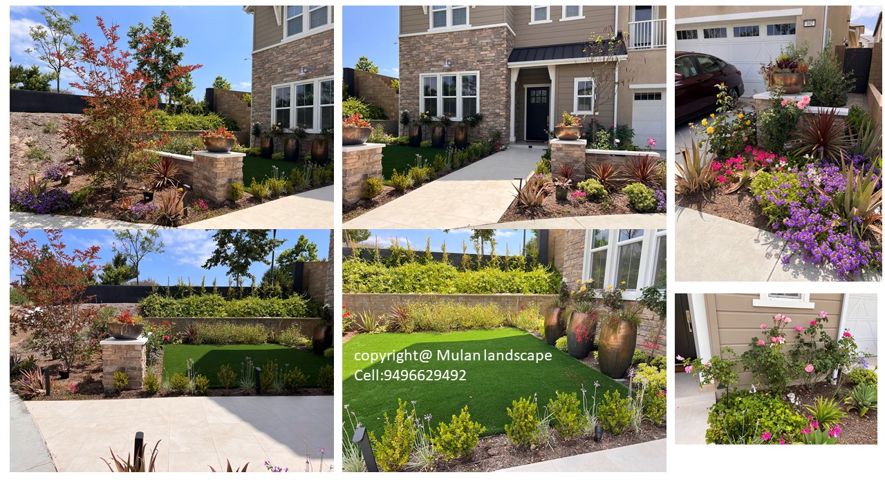 Mulan Landscape project photo