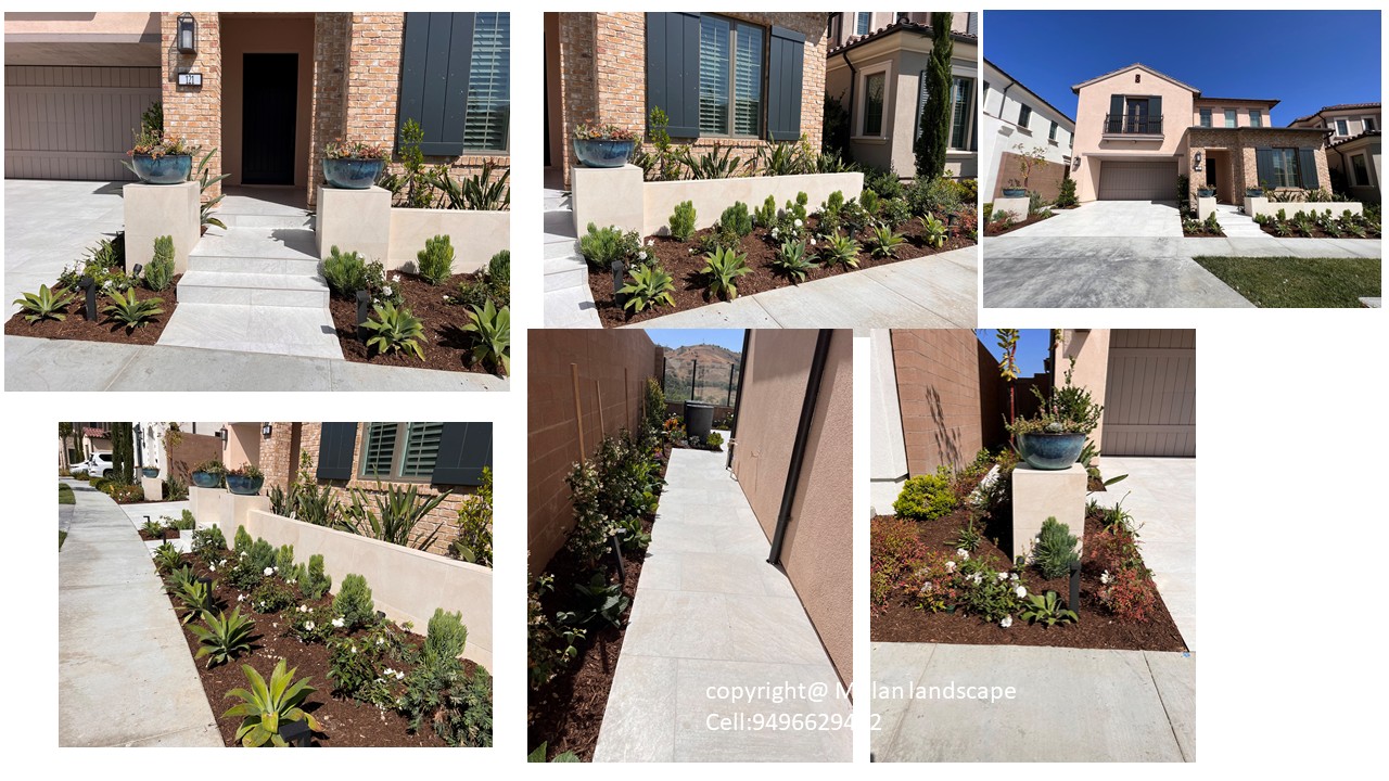 Mulan Landscape project photo