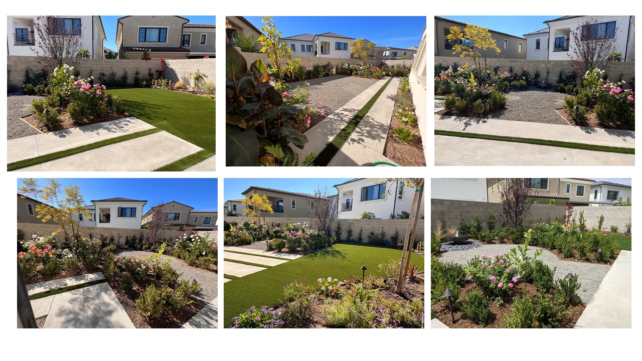 Mulan Landscape project photo