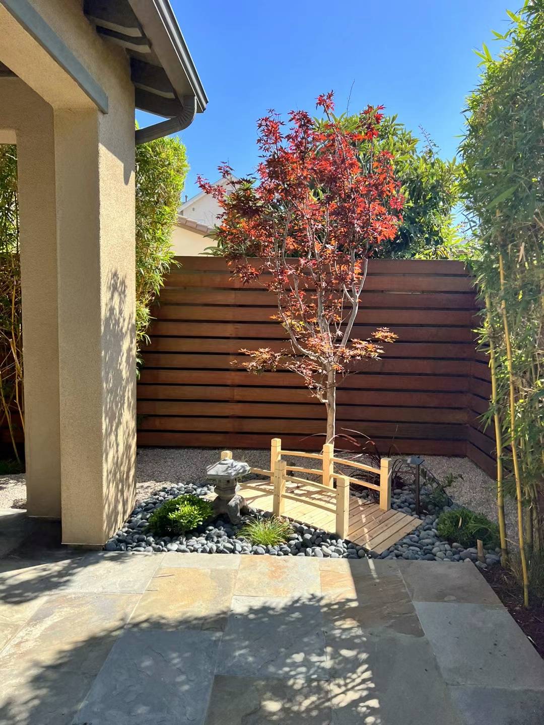 Japanese maple, stone lantern, and wood bridge