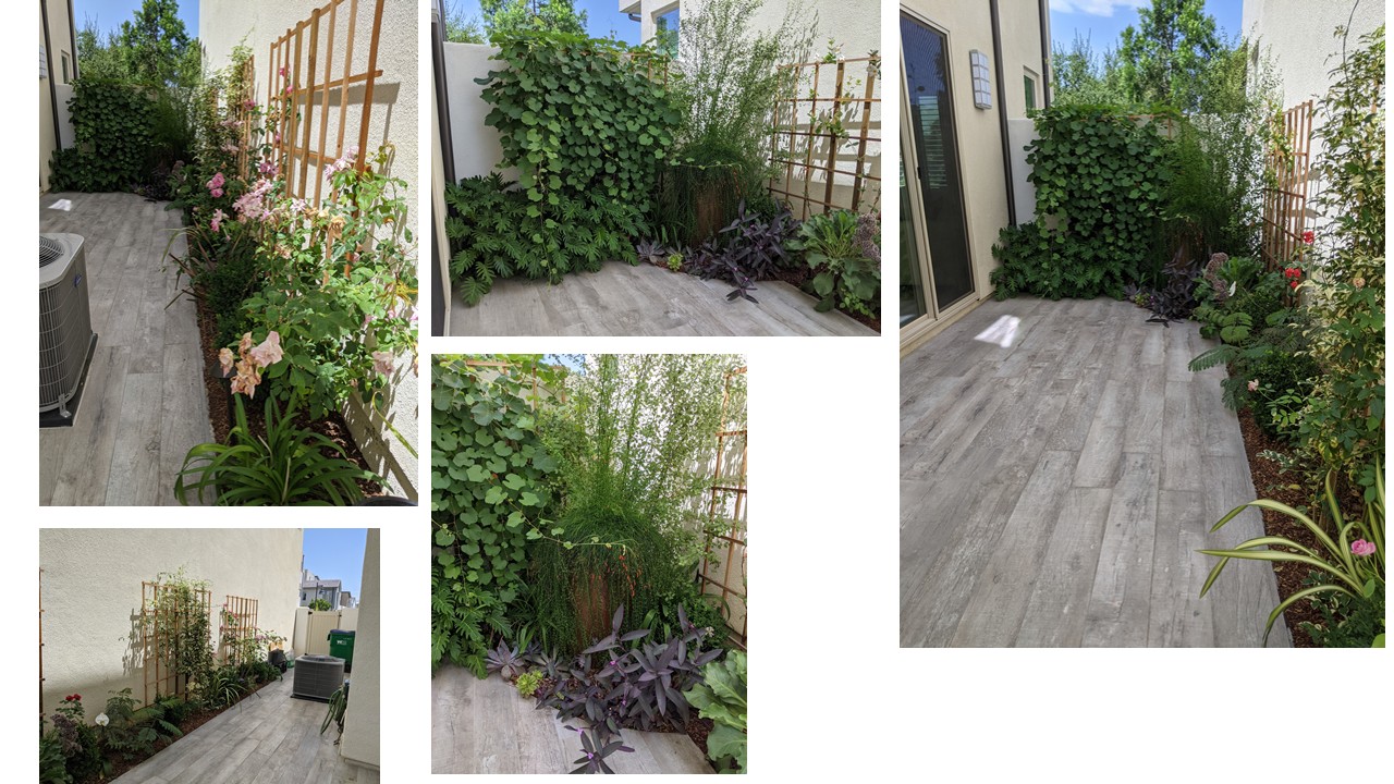 Mulan Landscape project photo
