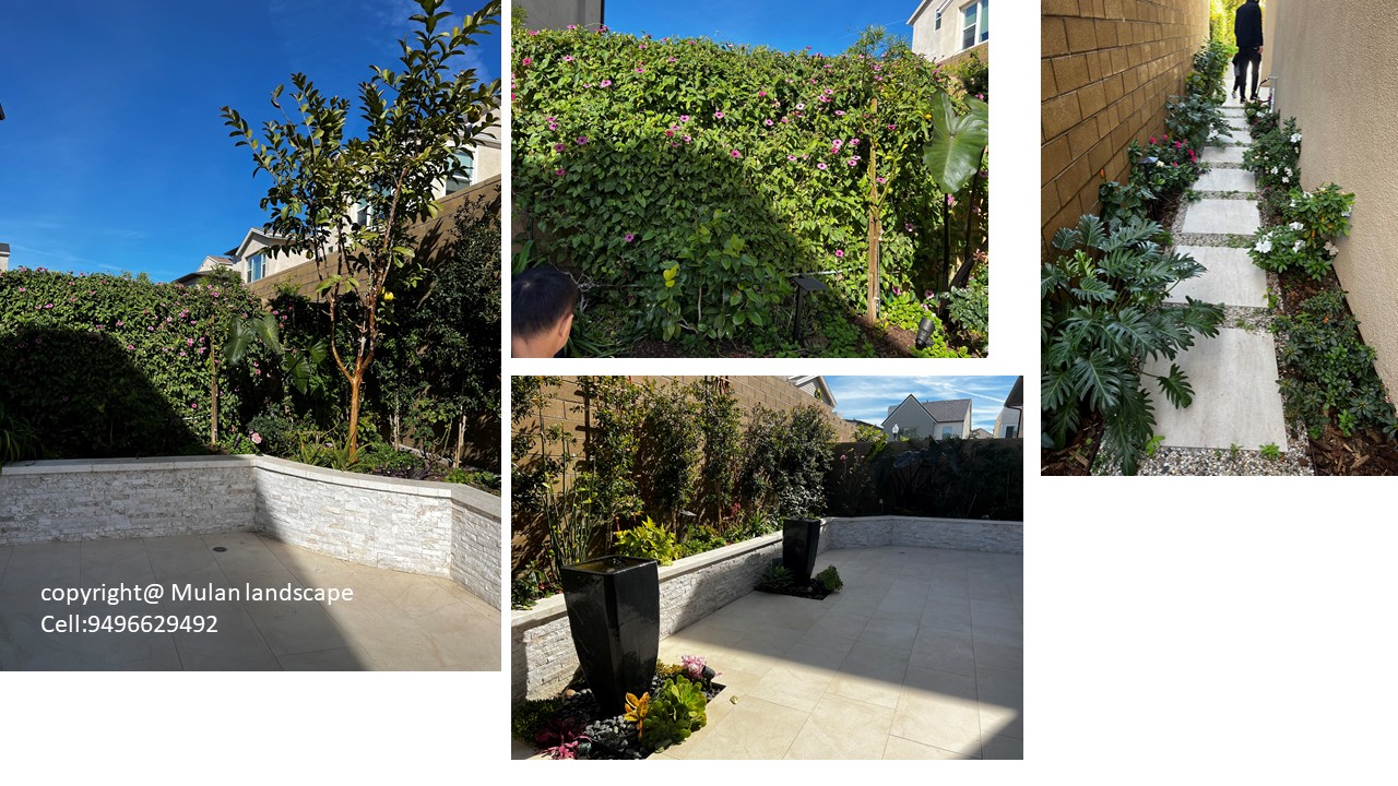 Mulan Landscape project photo