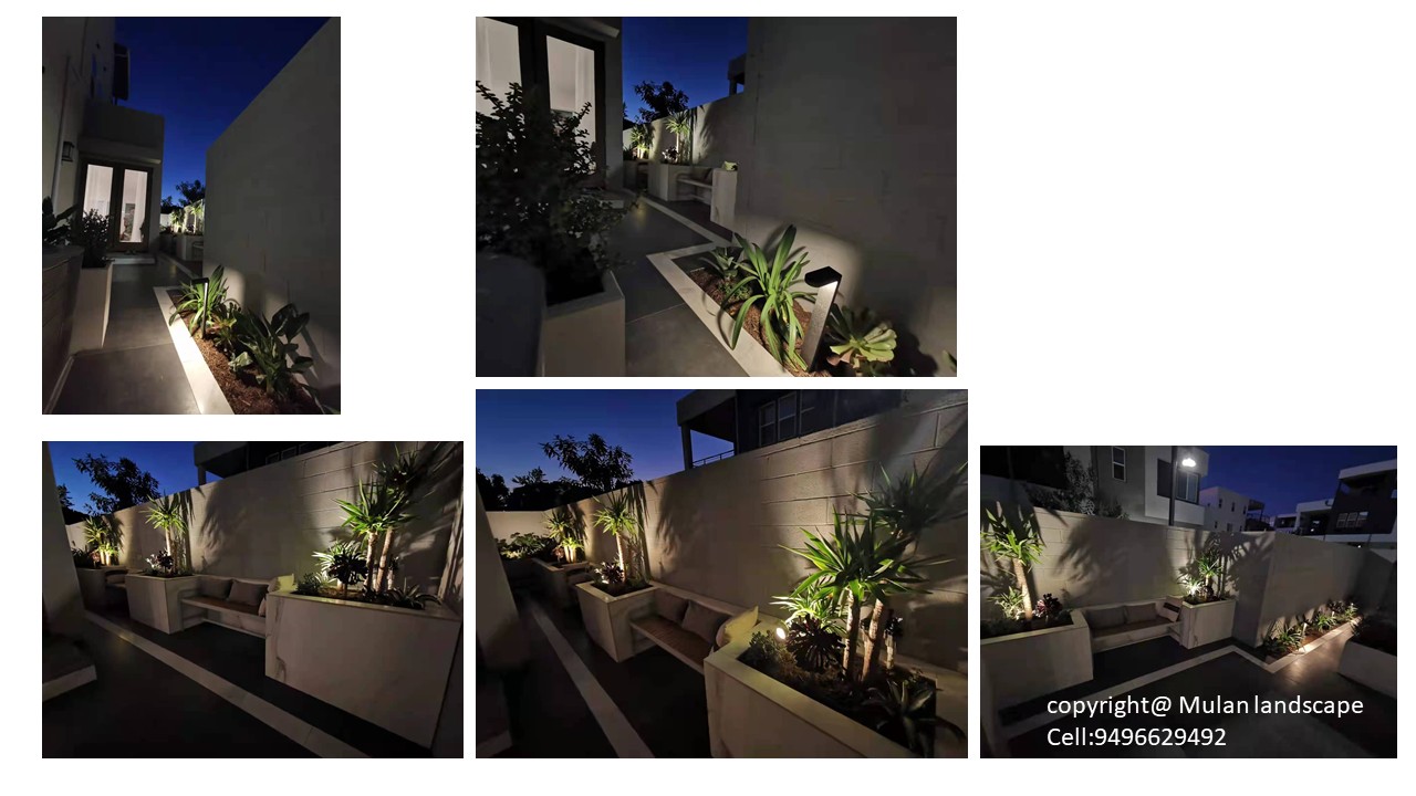 Mulan Landscape project photo