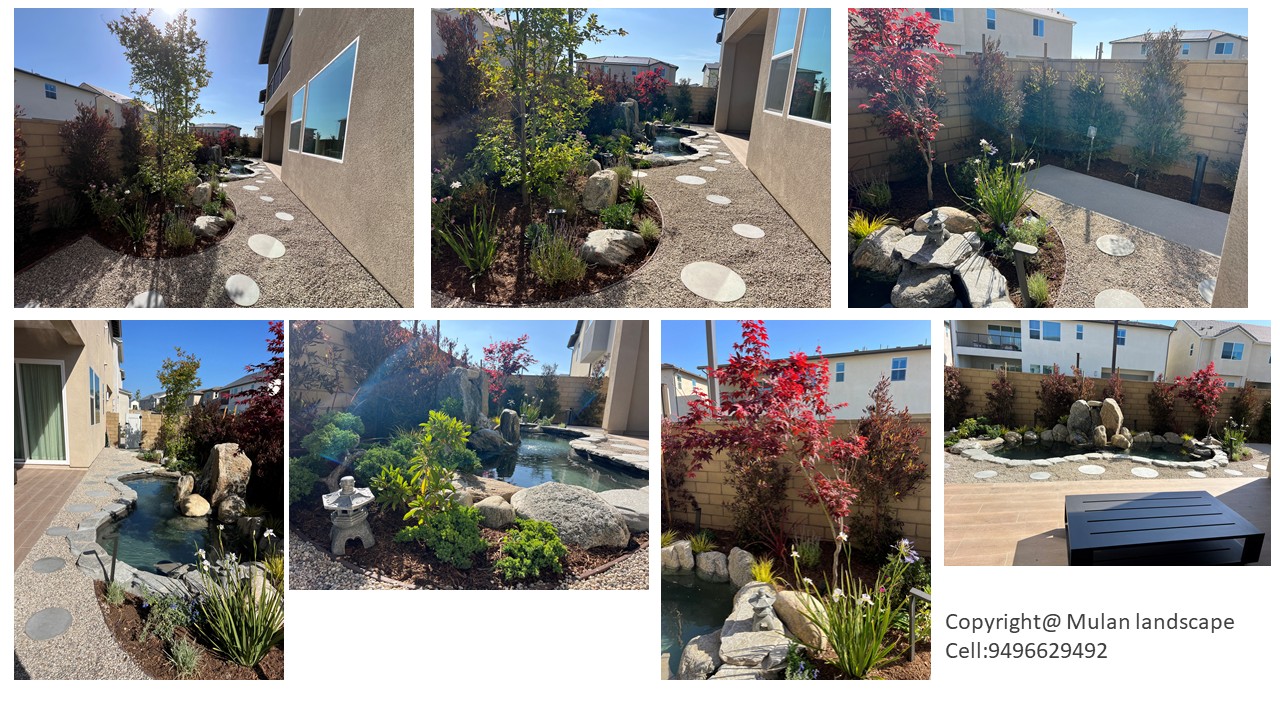 Mulan Landscape project photo
