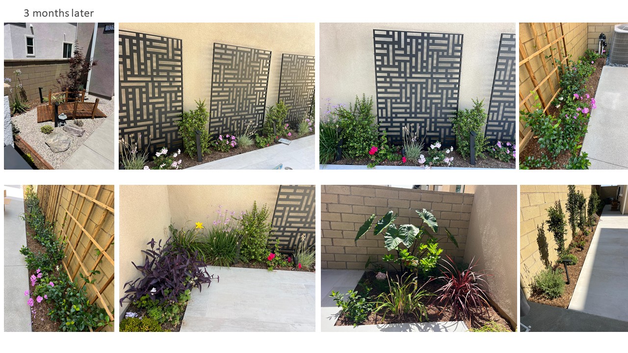 Mulan Landscape project photo