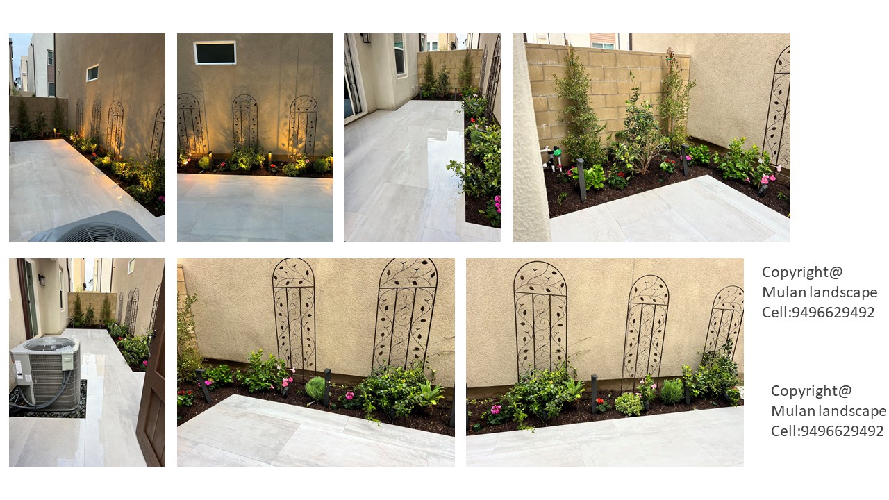Mulan Landscape project photo