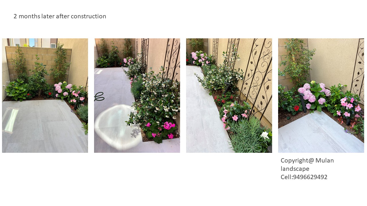 Mulan Landscape project photo