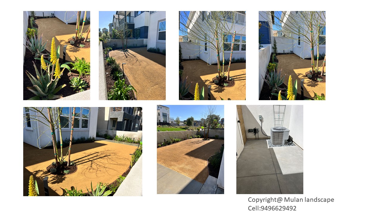 Mulan Landscape project photo