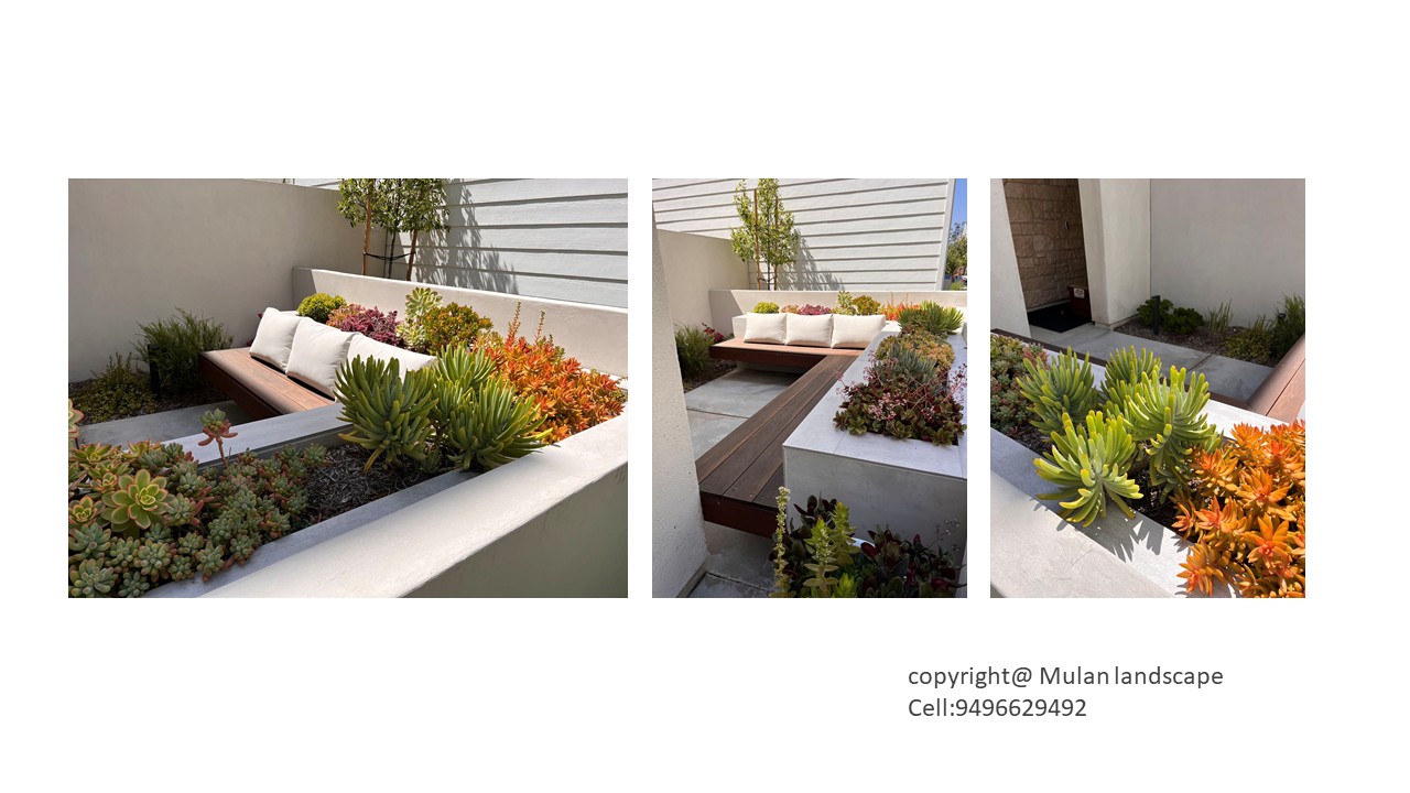 Mulan Landscape project photo