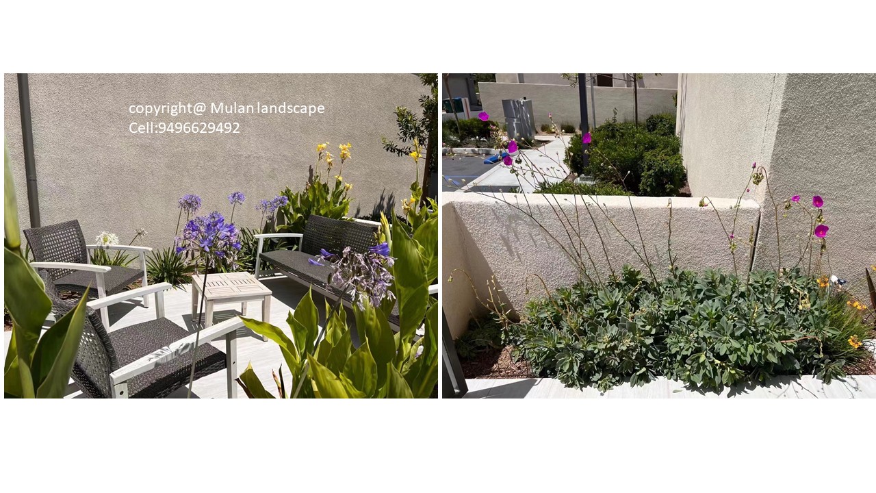 Mulan Landscape project photo