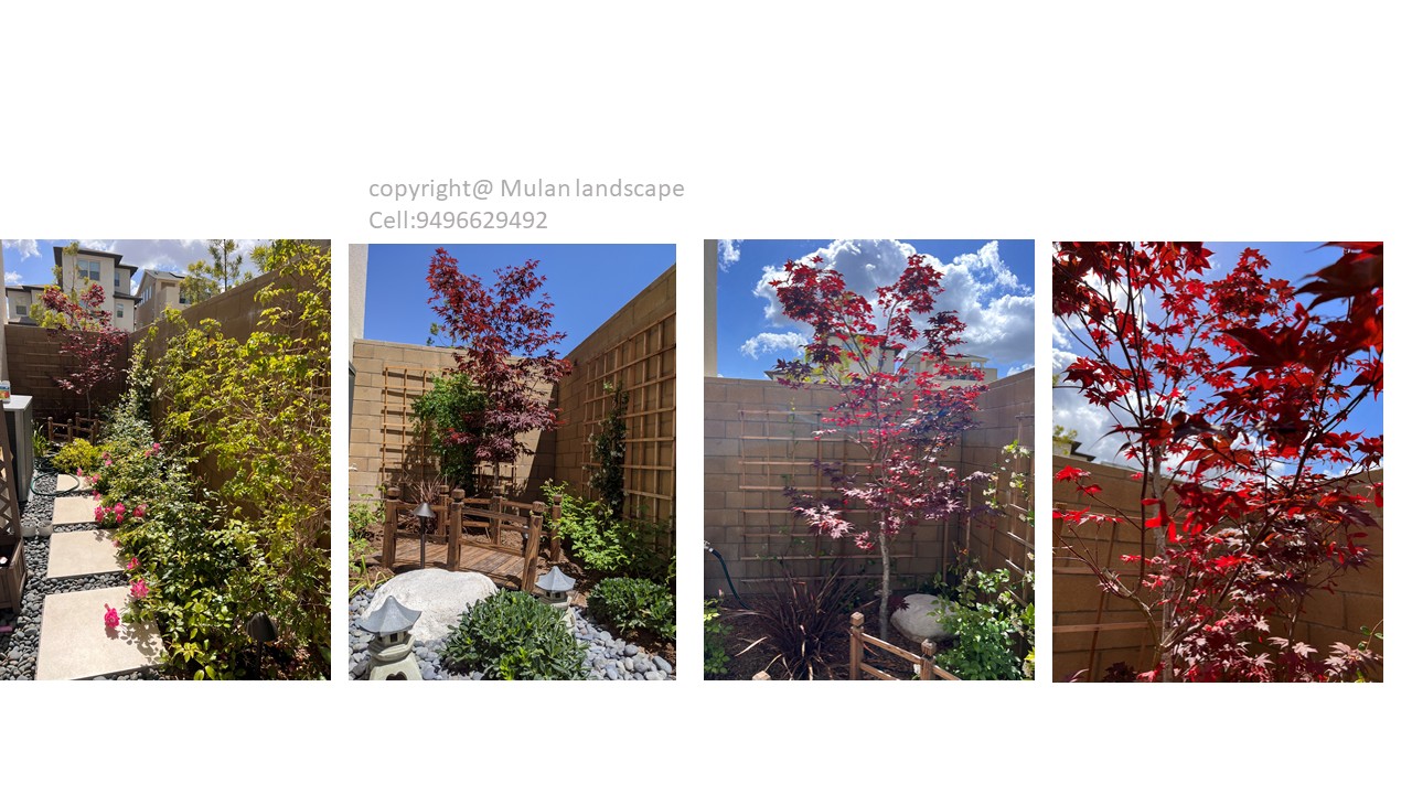 Mulan Landscape project photo