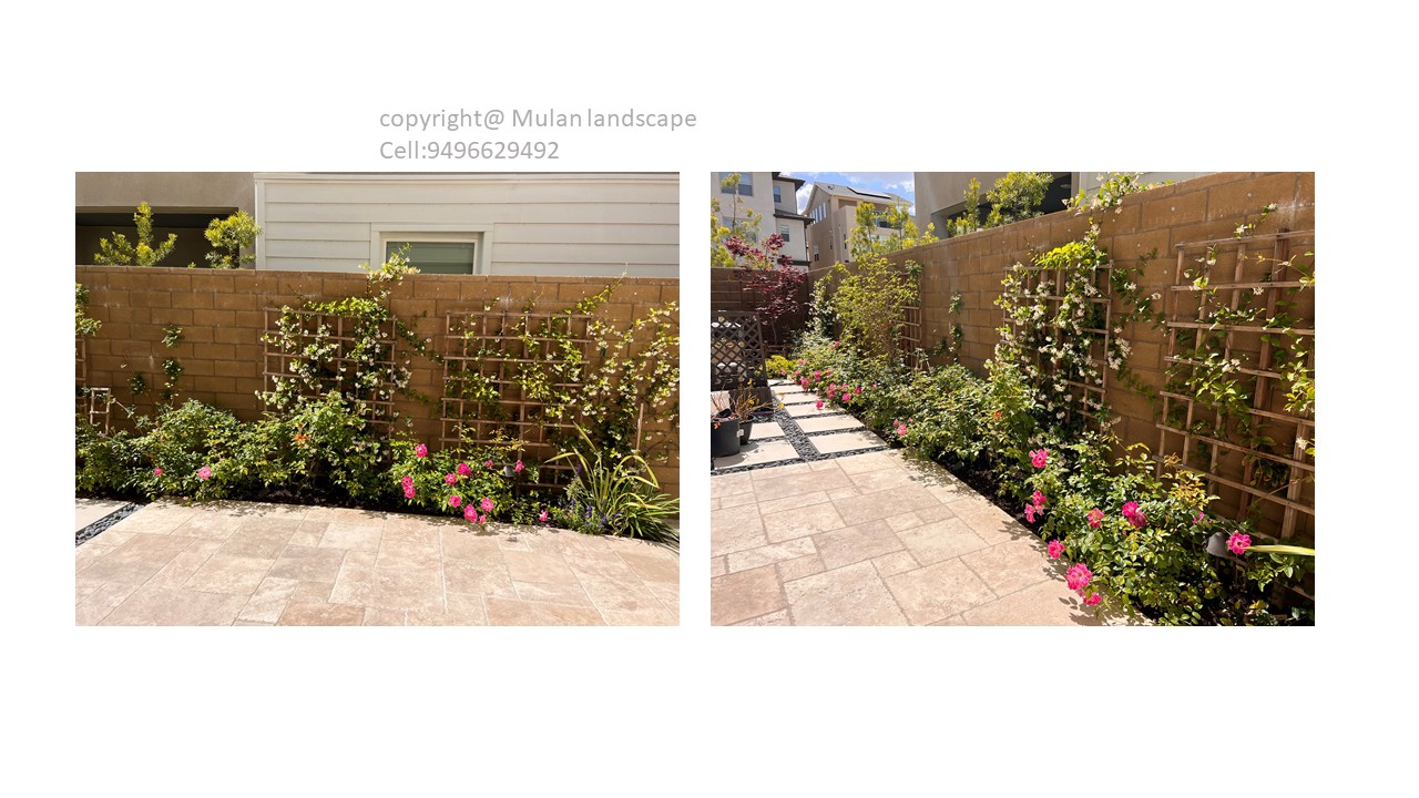 Mulan Landscape project photo